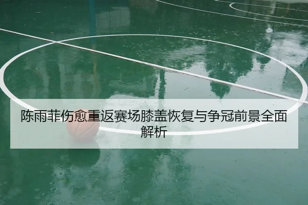 陈雨菲伤愈重返赛场膝盖恢复与争冠前景全面解析